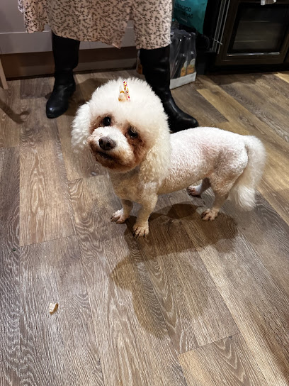 Holly's Hounds - Pet Shop in Bradford