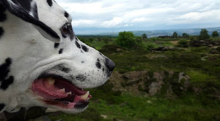 Cullingworth Pooches Playground - Pet Shop in Bradford