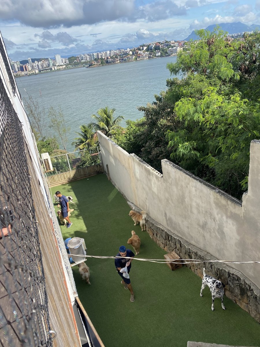 Casa Dog Petshop