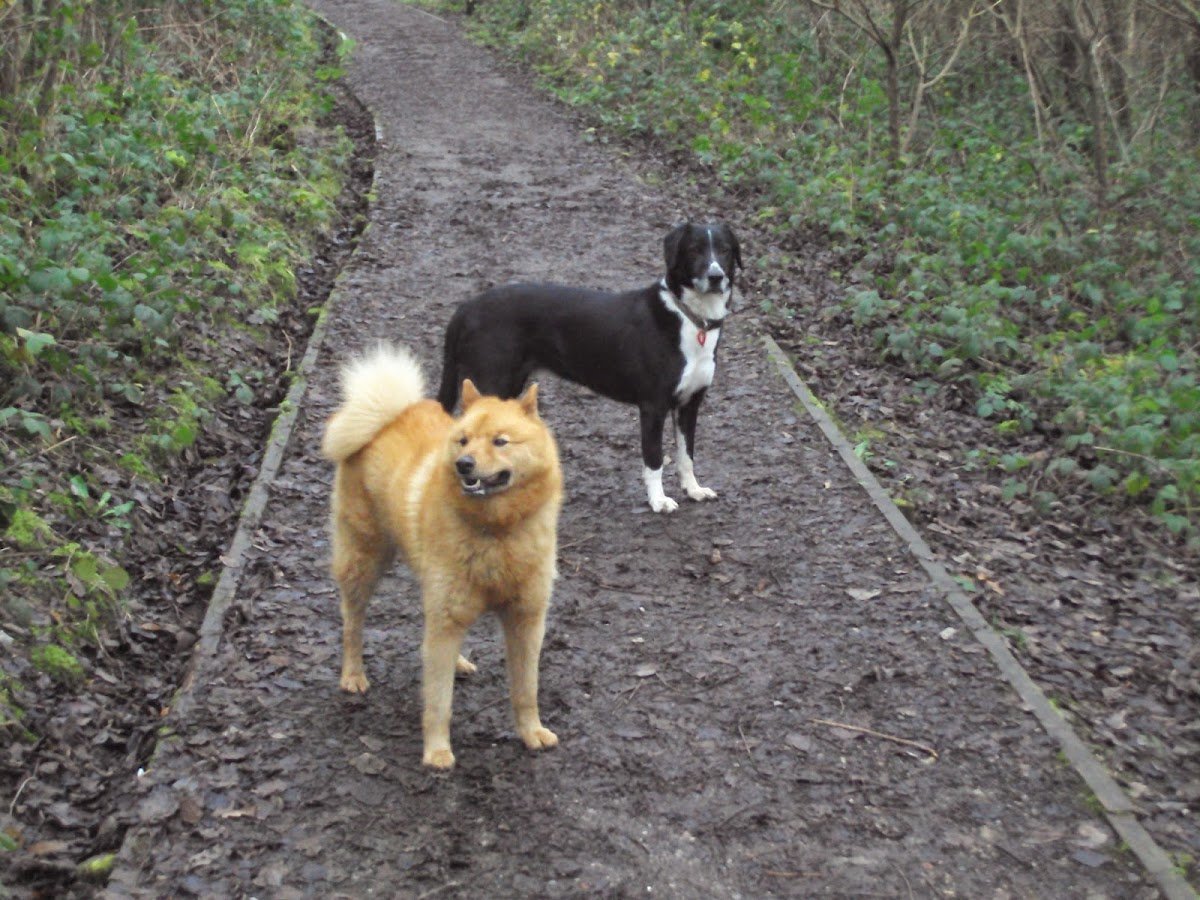 Walk On By - Photo 2