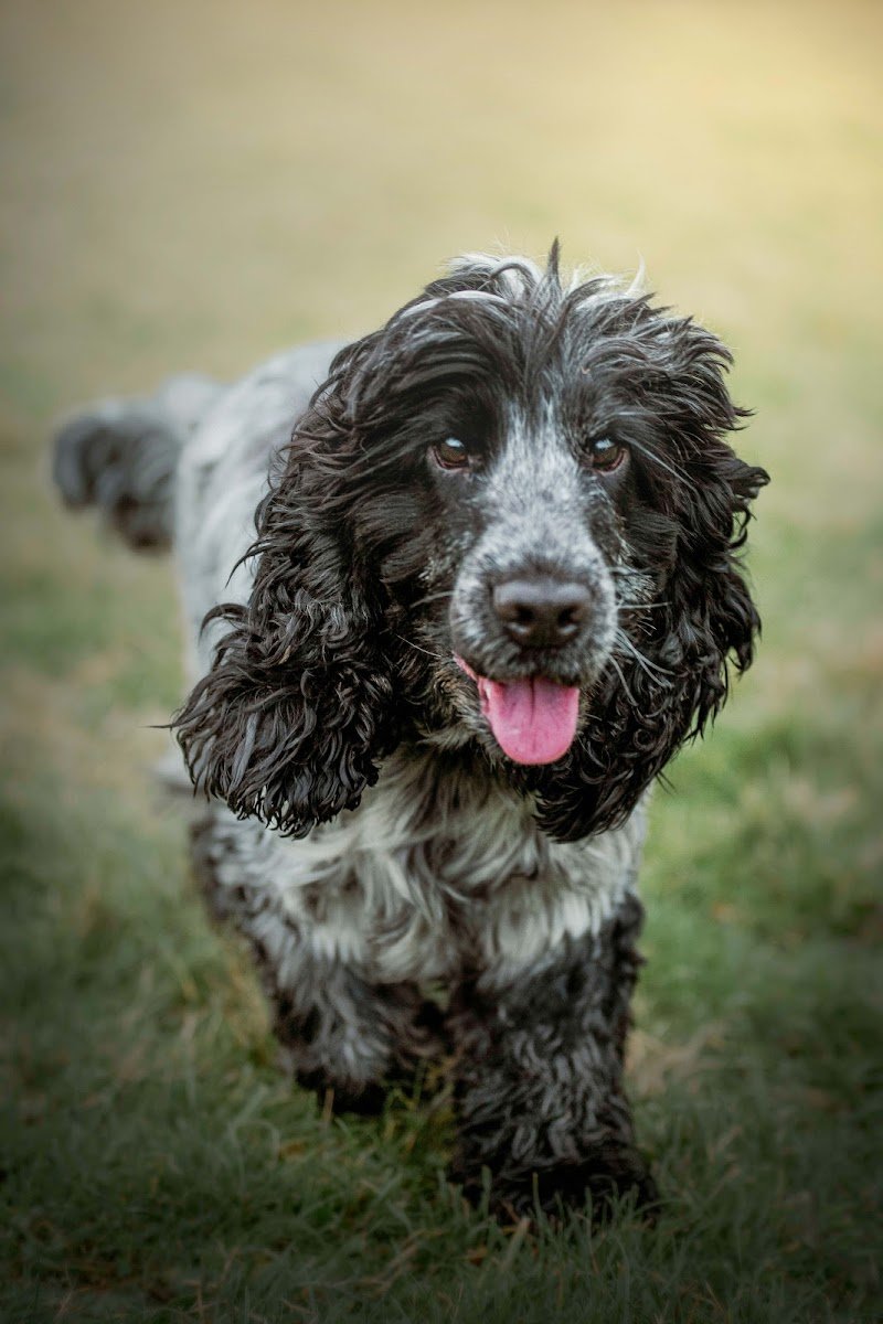 Coco & Barley Bingley - Photo 2