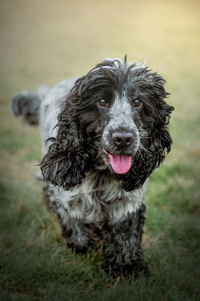 Coco & Barley Bingley - Pet Shop in Bradford