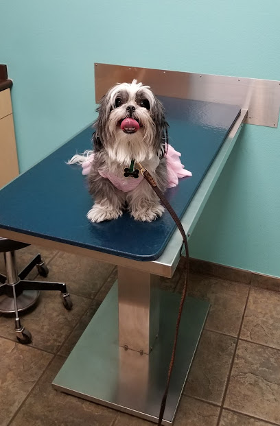 Eye Care for Animals - Las Vegas - Pet Shop in Las Vegas