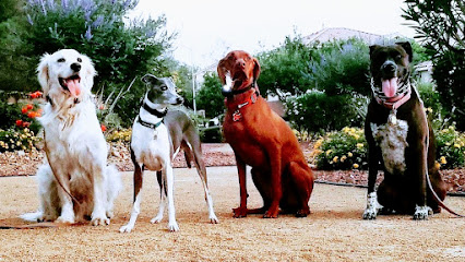 AKA Dog Obedience Training, LLC - Pet Shop in Las Vegas