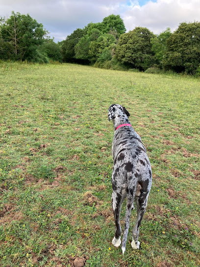 Friends for Pets Penarth, Dinas Powys & Barry