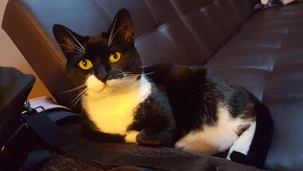 Friends for Pets (Newport)