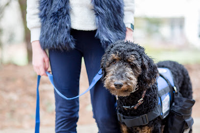Diabetic Alert Dogs of America - Pet Shop in Las Vegas