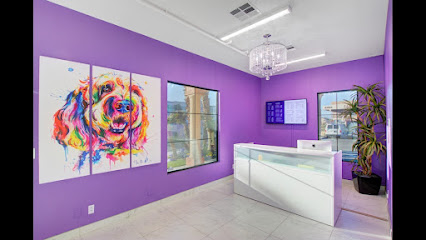 LV Dog Resort II - Pet Shop in Las Vegas