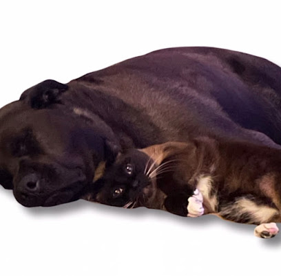 Nancy's Pet Care Service - Pet Shop in Las Vegas