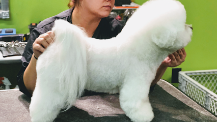 Las Vegas Spaw - Pet Shop in Las Vegas