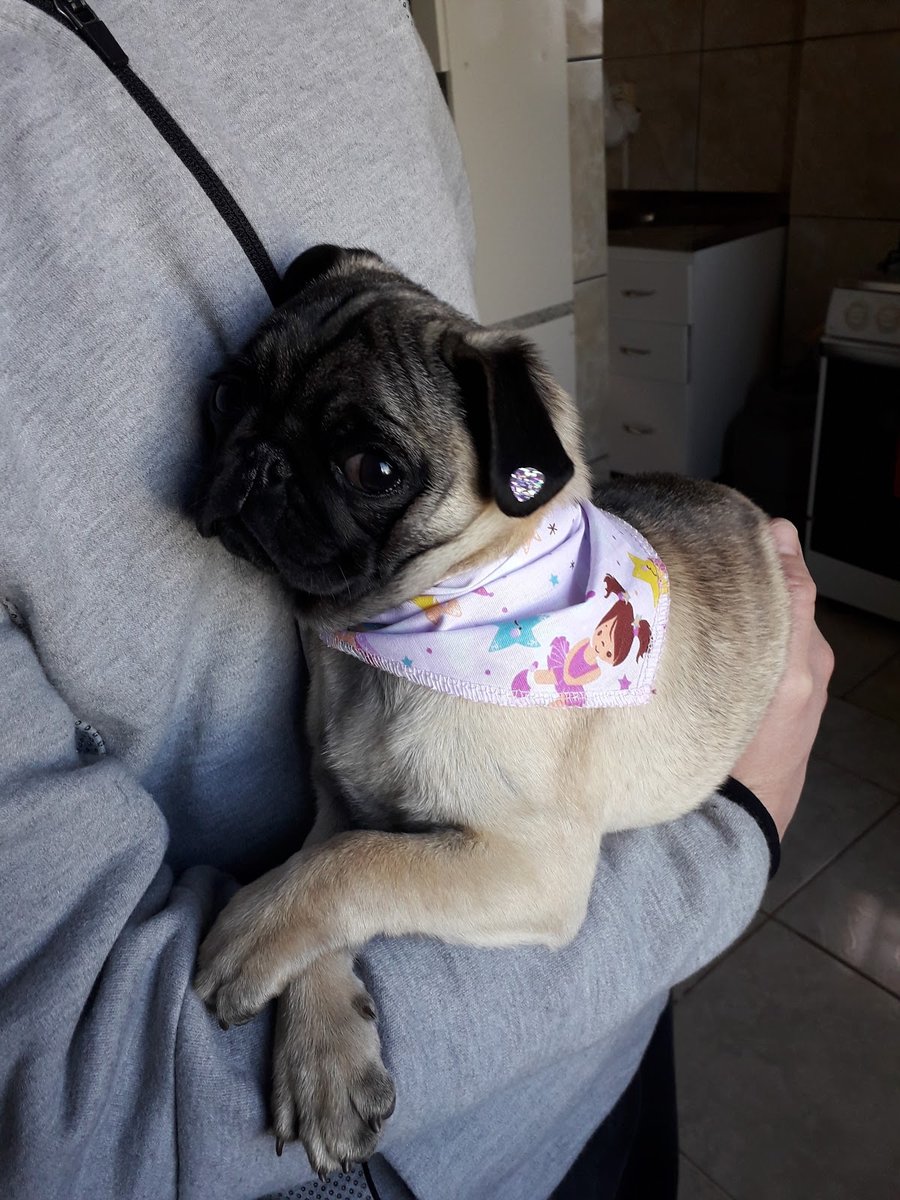 Clínica Rastro Veterinária