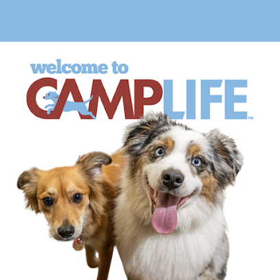 Camp Bow Wow Summerlin - Pet Shop in Las Vegas