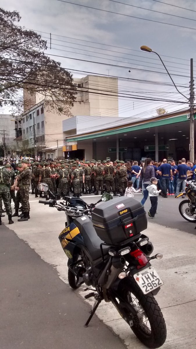 Ana Tourrucôo - Oncologia, Acupuntura E Fitoterapia Veterinária
