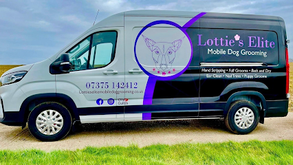 Lottie’s Elite Mobile Dog Grooming
