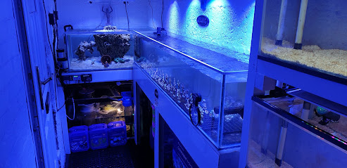 Mark's Aquatics - Pet Shop in Cardiff
