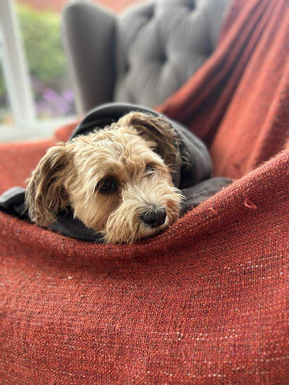 Sal & Pals Pet Services