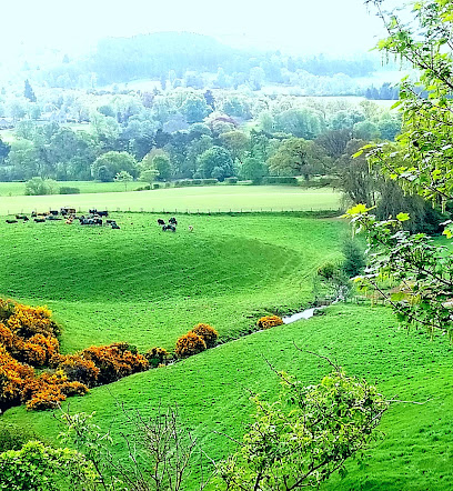 Out and About Pet Services