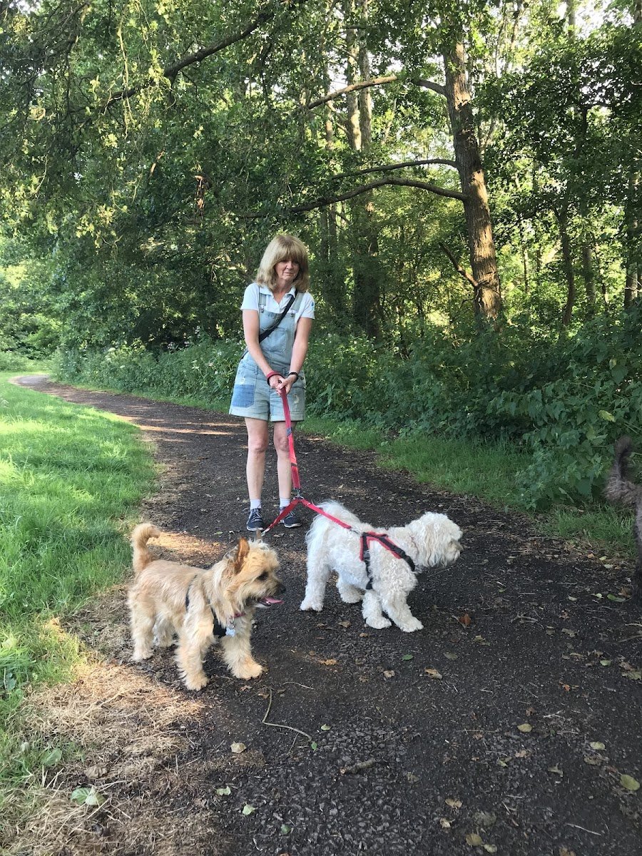 Fur Babies Services - Photo 2