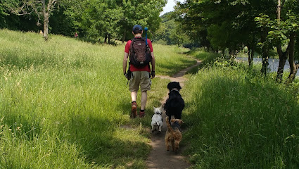 WalkWagPlay Ltd - Pet Shop in Cardiff