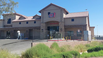 Doggie District - Craig Road - Pet Shop in Las Vegas