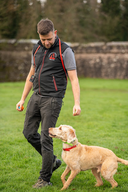 American Standard K9 Dog Training Ireland (Belfast)