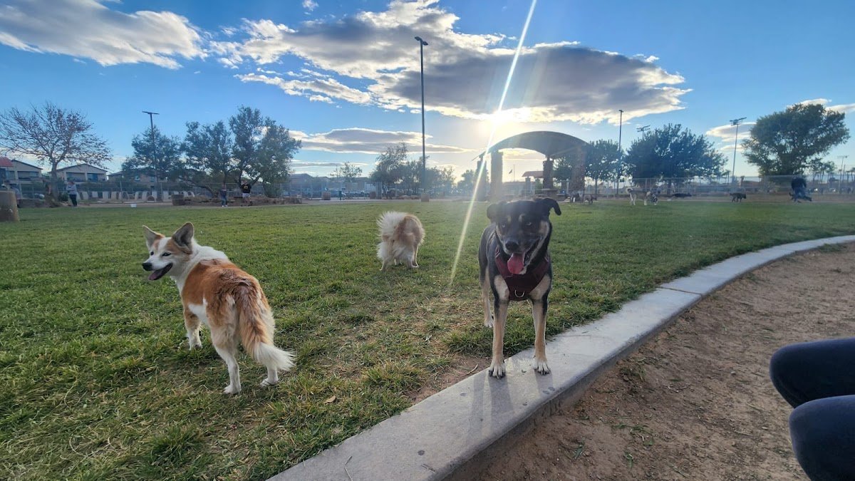 4 Paws Lovers - Photo 2