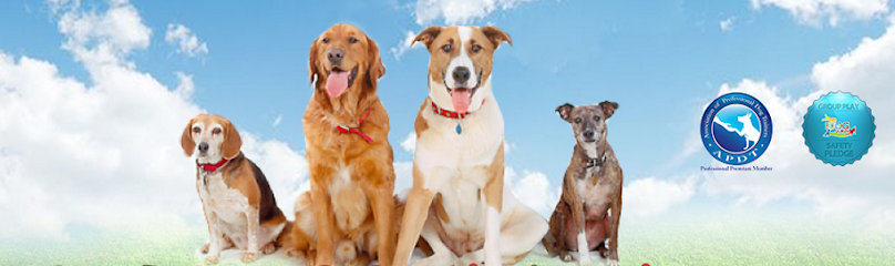 Doggie District - Silverado - Pet Shop in Las Vegas
