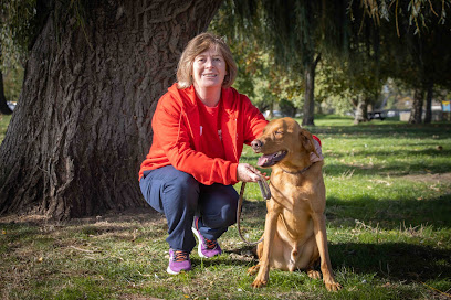 We Love Pets Belfast