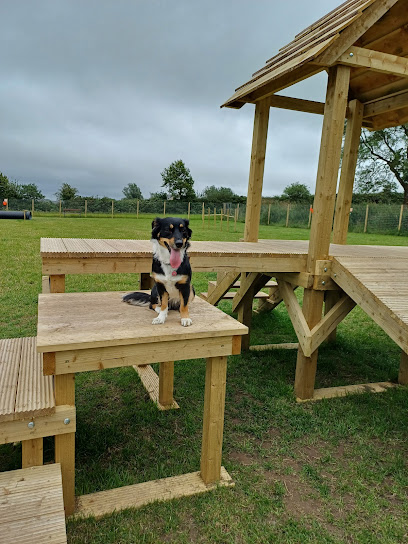 The Dog Paddock - Pet Shop in Belfast