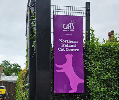 Cats Protection - Northern Ireland Cat Centre