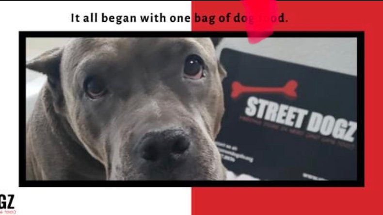 Street Dogz - Photo 2