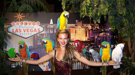 TOP BIRD PARROT RESCUE & REHABILITATION - Pet Shop in Las Vegas