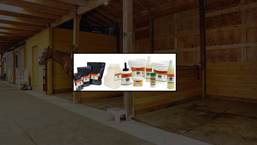 Equine Science, Inc. - Photo 2