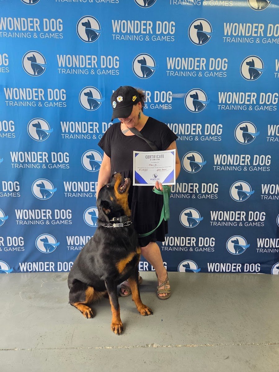 Wonder Dog Training & Games - Photo 2