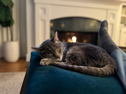 Enchanted Paws Pet Sitting