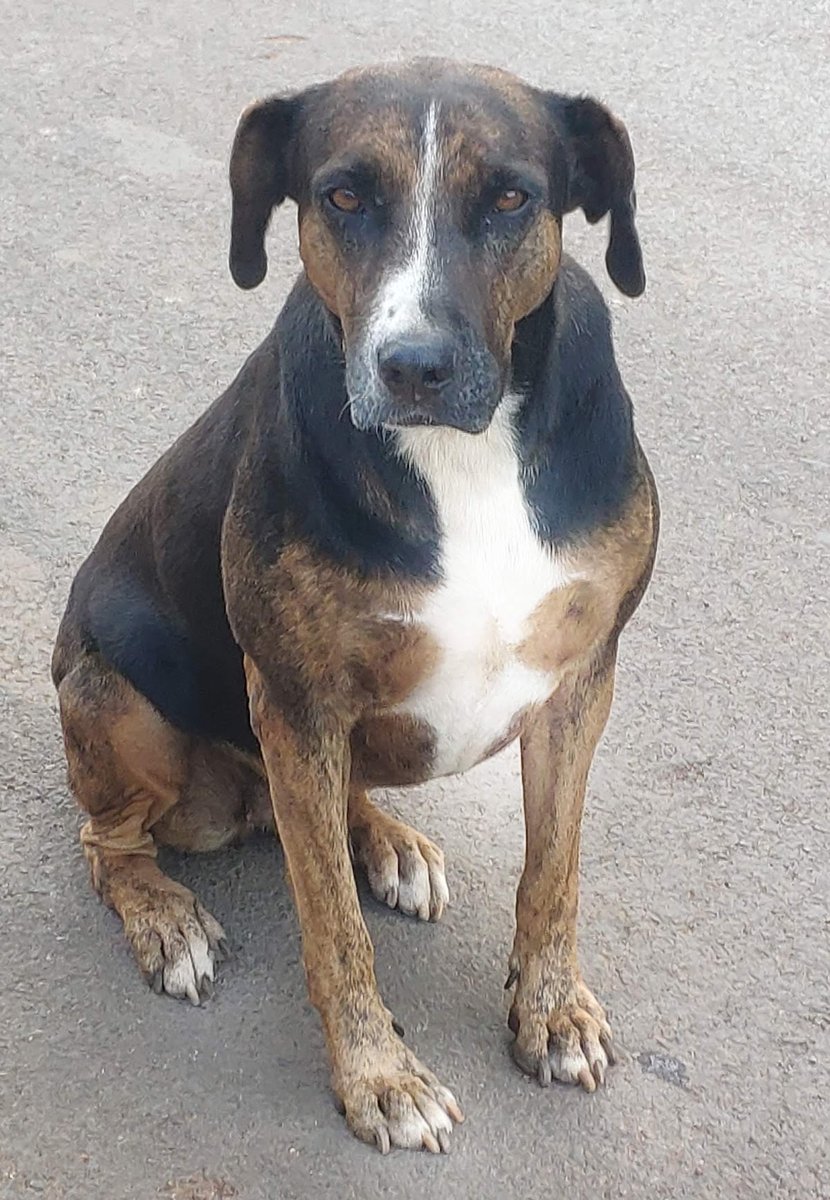 Comercial Agrocarlos