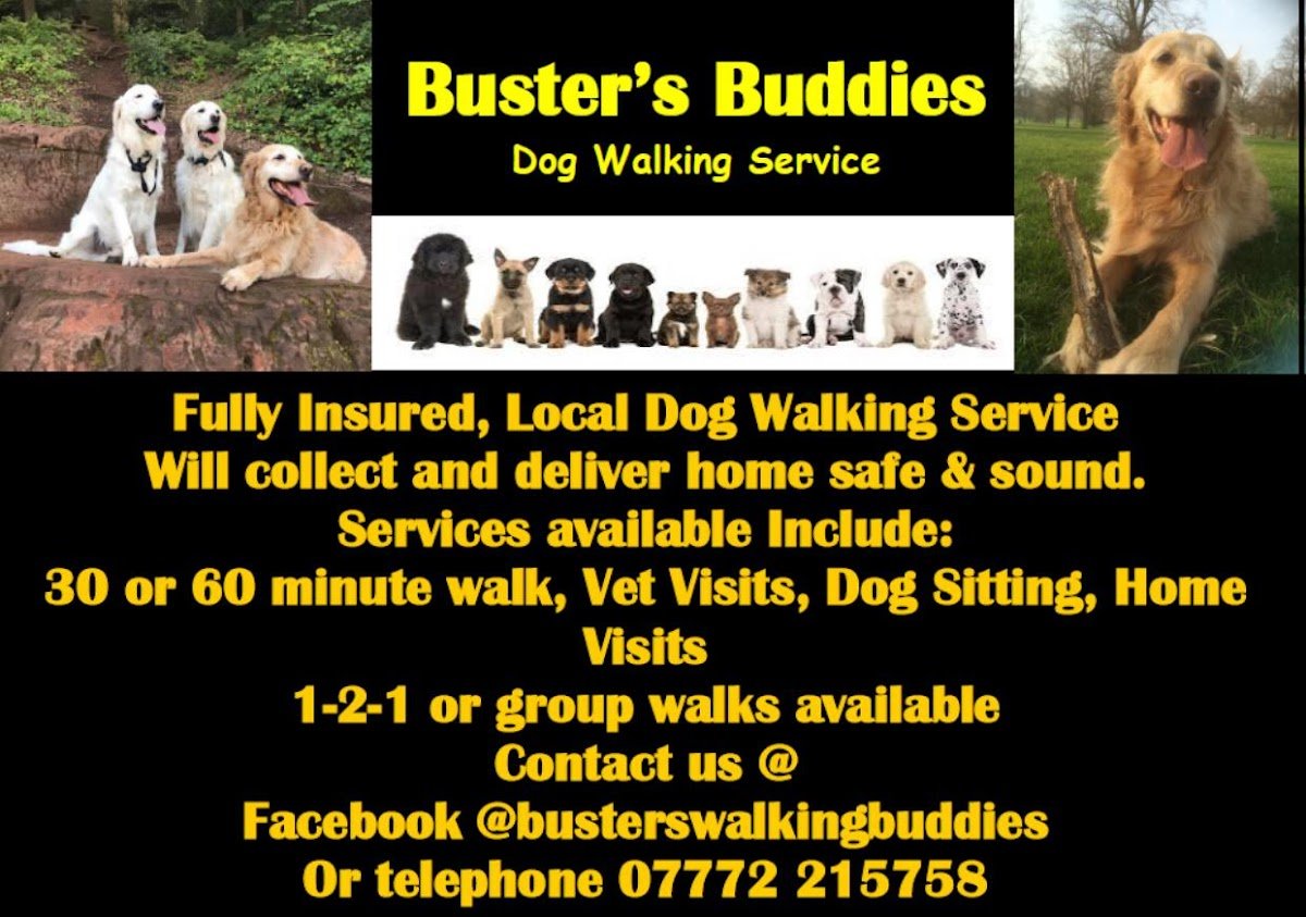 Buster's Dog Walking Buddies - Photo 2