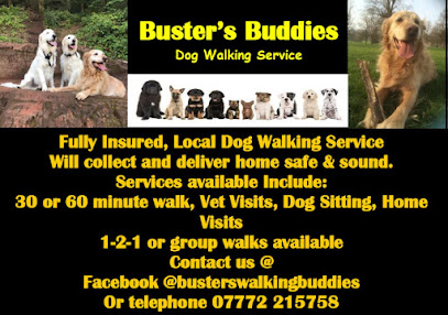 Buster's Dog Walking Buddies