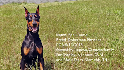 Raleigh Bartlett Animal Hospital