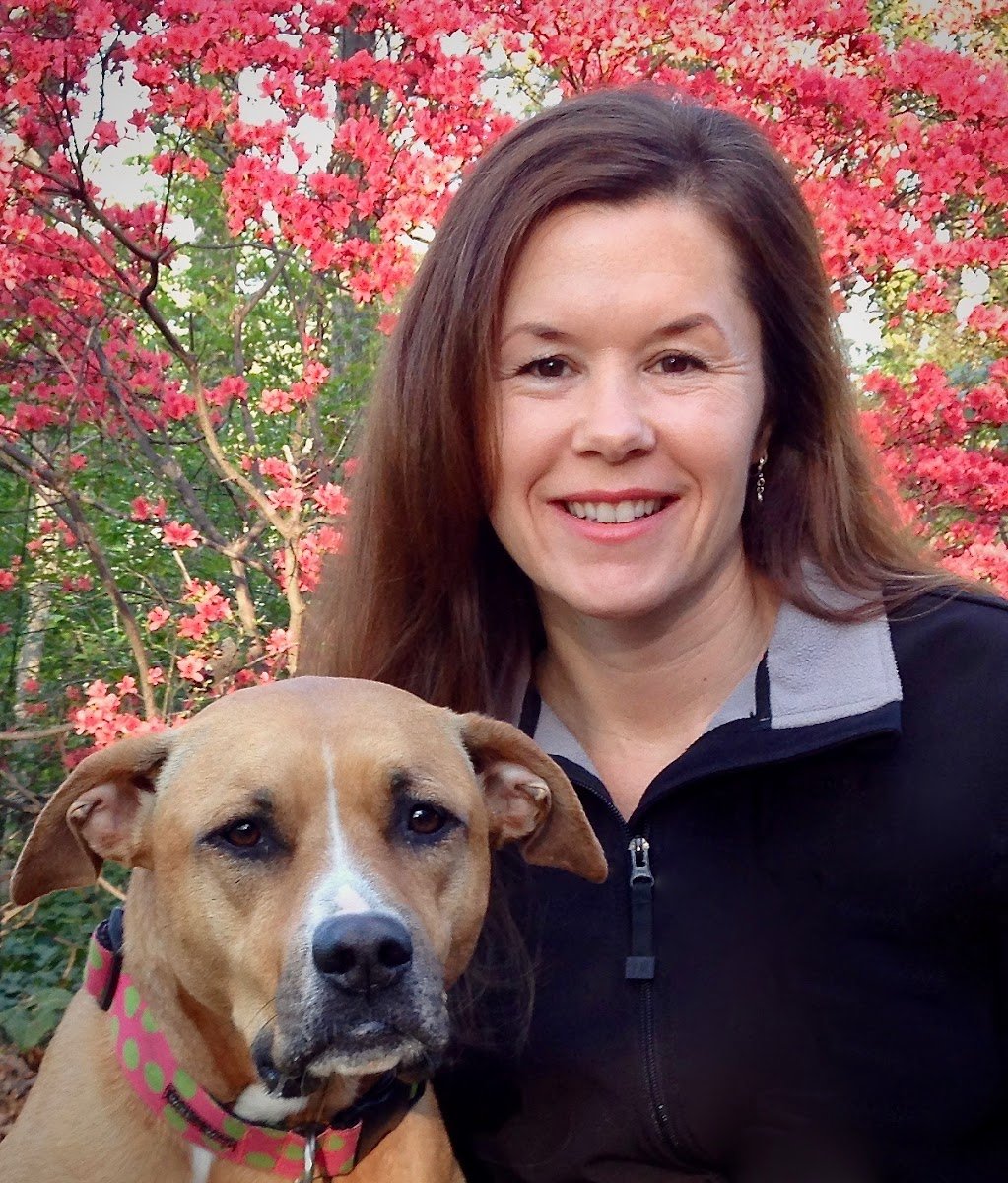 Synergy Animal Behavior ® - Photo 2