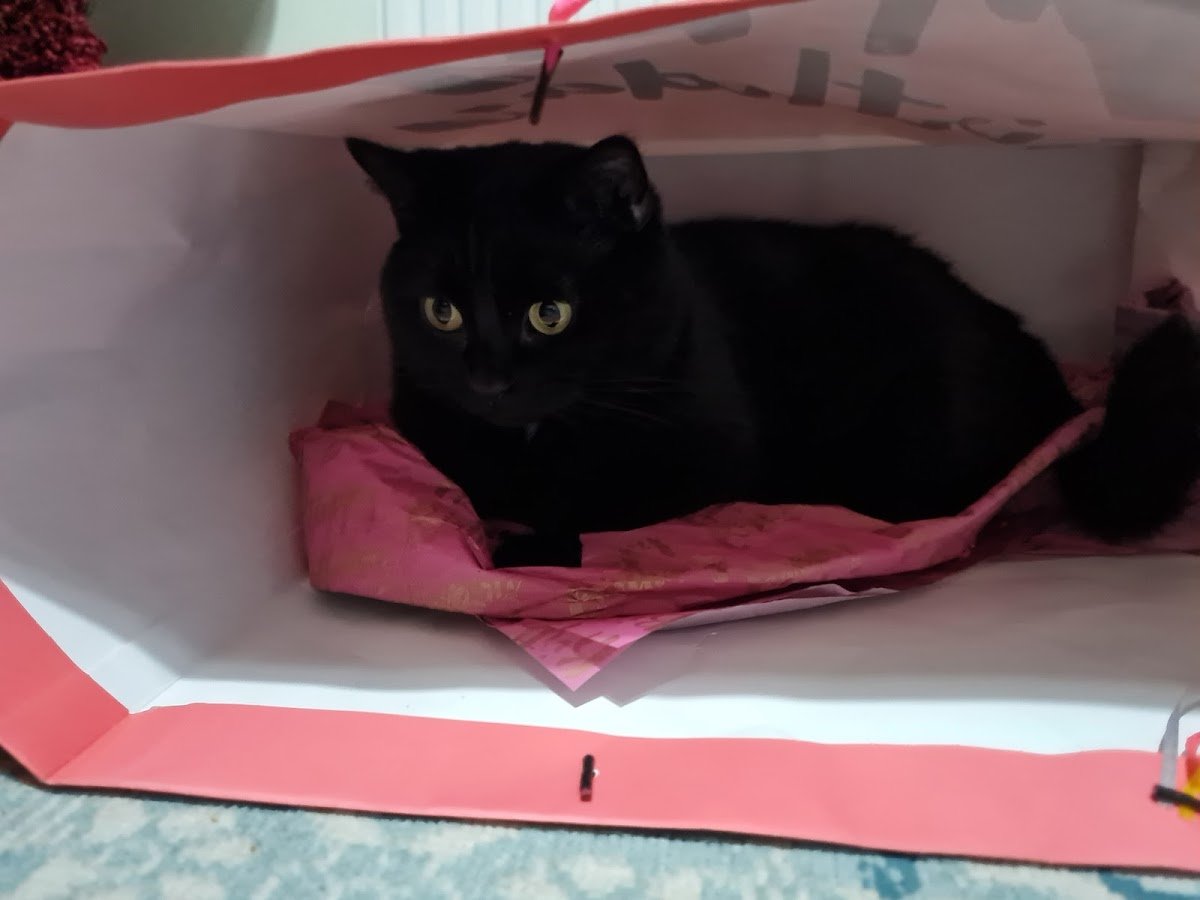 Nanny McPurr - Photo 2