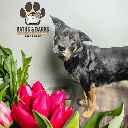 Baths & Barks Mobile Dog Grooming Shropshire (with John & Alex).