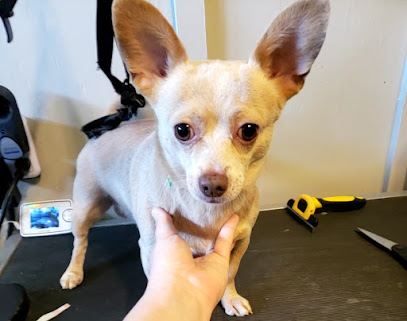 Memphiz Muttz Grooming