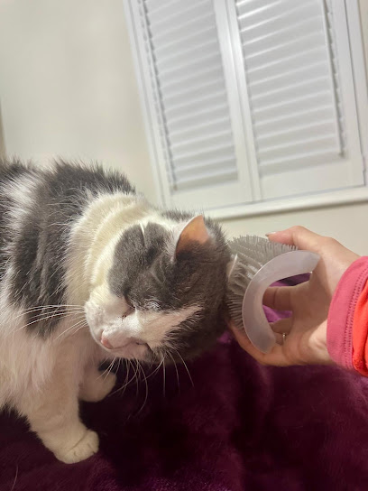 Kitty Angels Telford