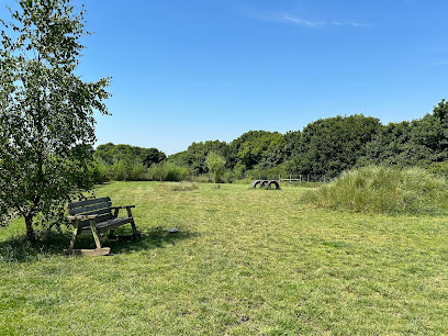 Paws at the Junction Ltd