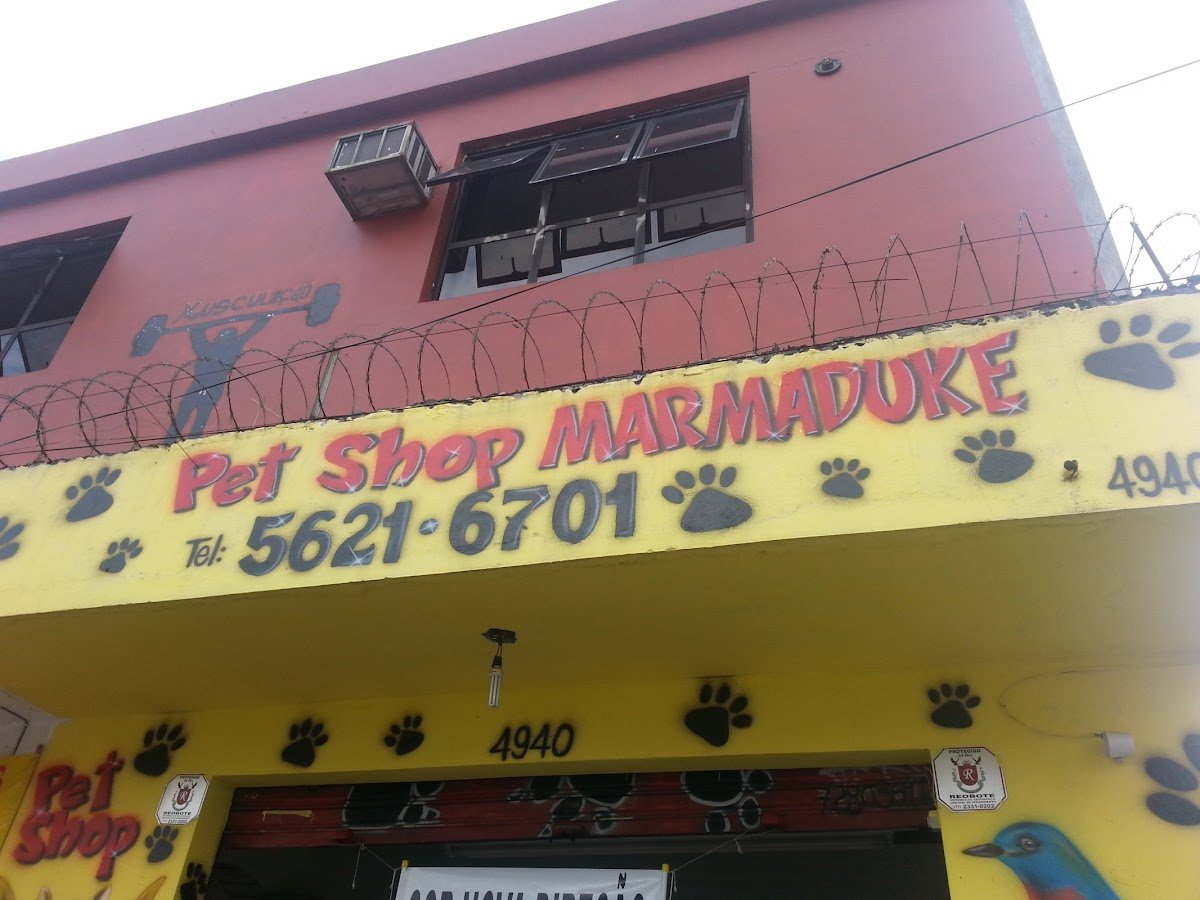 PET SHOP RAIO DE SOL