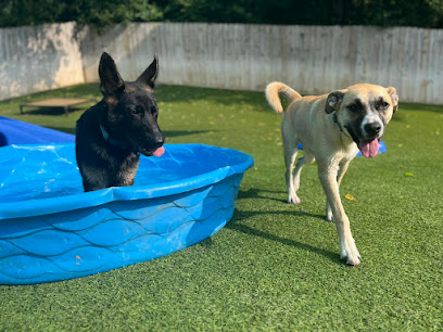 Pleasant View Pet Resorts