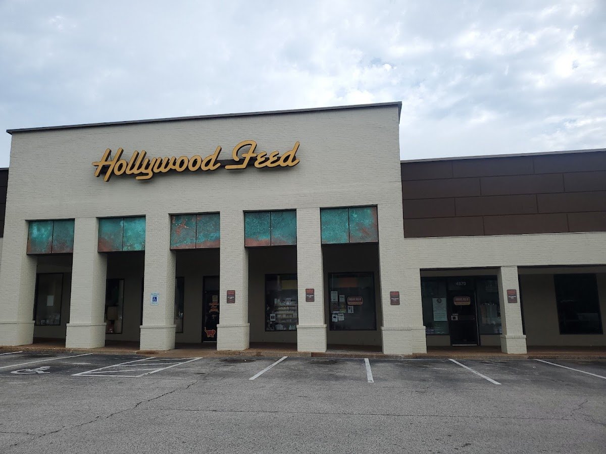 Hollywood Feed - Photo 2
