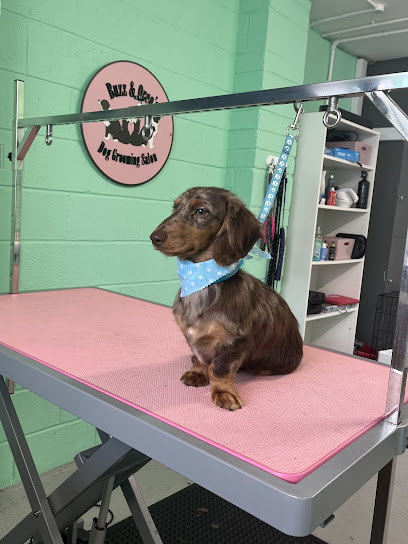 Buzz & Oreos Dog Grooming Salon