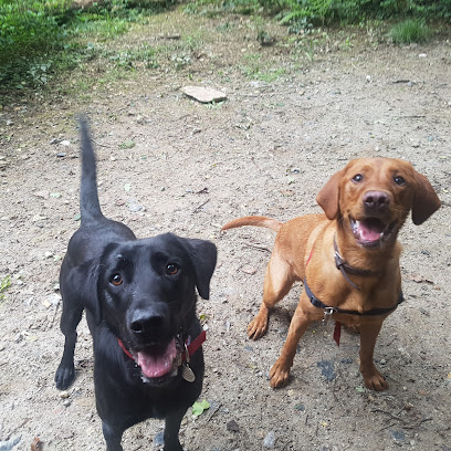 Becky's Walkies, Training and Behaviour